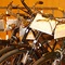 icon Foires aux vélos