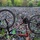 Visit the group Events / Manifestations / Festivals / Rencontres / Courses / ...